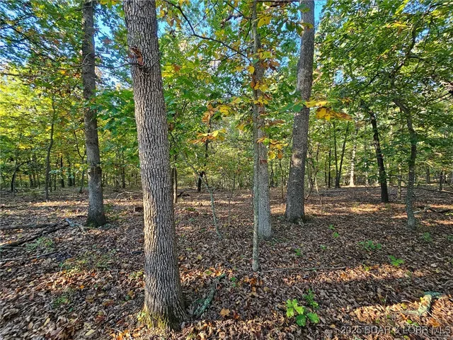 $13,500 | Lot #1060 Bittersweet Road, Four Seasons, MO 65049