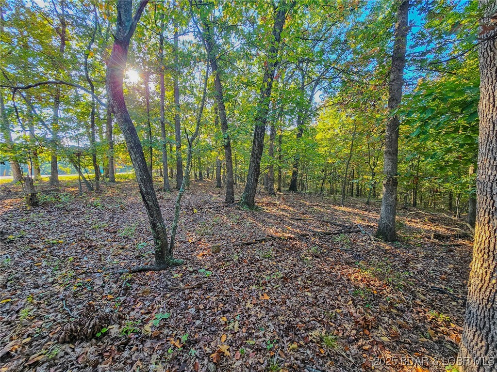 Lot #1060 Bittersweet Road Four Seasons, MO 65049 - Photo 7 of 14