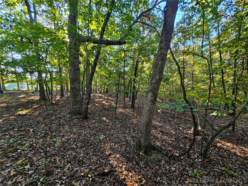 Lot #1060 Bittersweet Road Four Seasons, MO 65049 - Photo 8 of 14