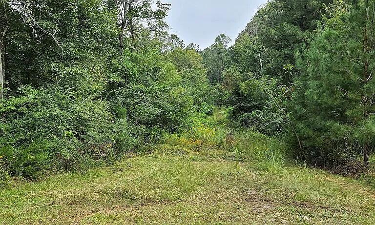 0 Southeast Bohannons Road Cleveland, TN 37323 - Photo 14 of 20 f053667d51a71ba1e154a0824564cd52-cc_ft_7