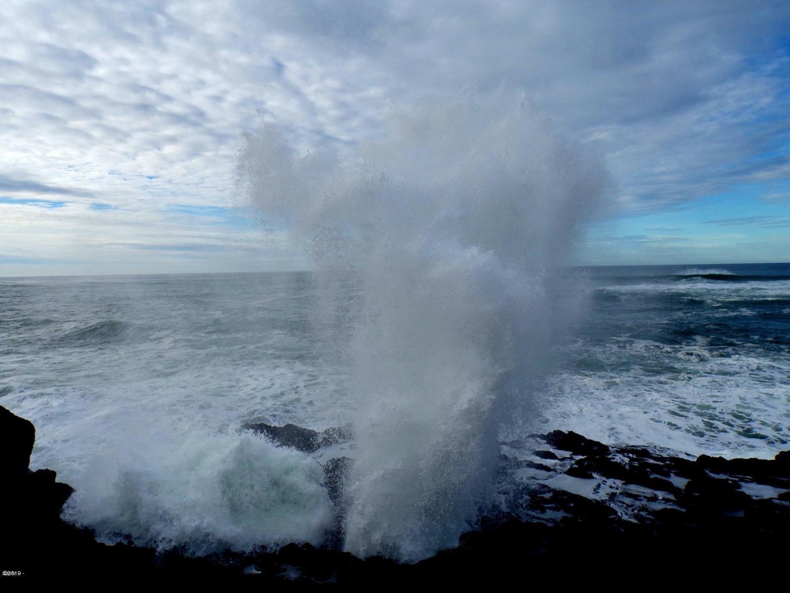Lot16 Northeast Spring Avenue Depoe Bay, OR 97341 - Photo 27 of 31 Famous Spouting horn