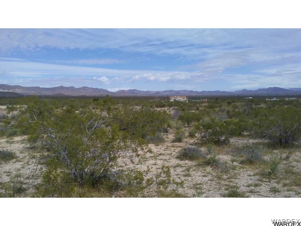 1598 Growler Road Golden Valley, AZ 86413 - Photo 3 of 7