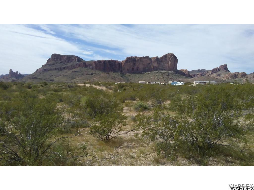 1598 Growler Road Golden Valley, AZ 86413 - Photo 6 of 7
