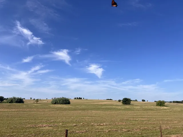 a view of ocean with sunset