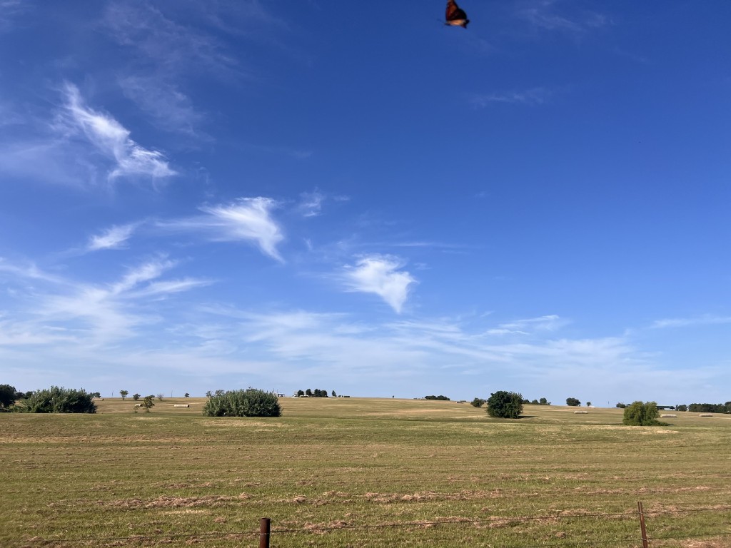 700 County Road 330 Granger, TX 76530 - Photo 2 of 9 a view of ocean with sunset