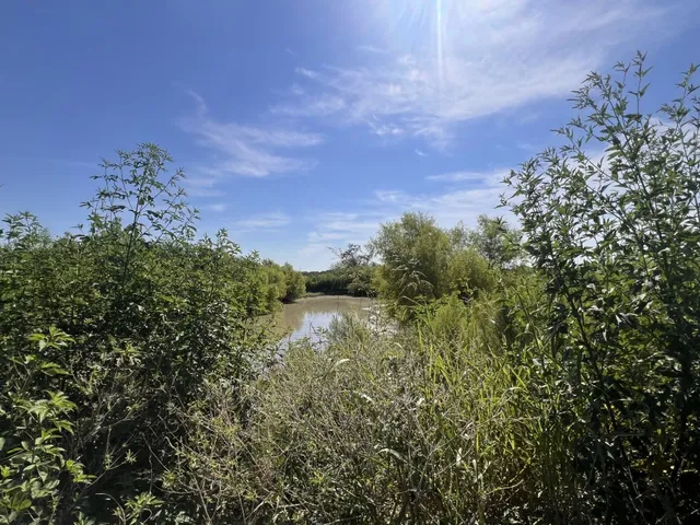 a view of a lake from a yard