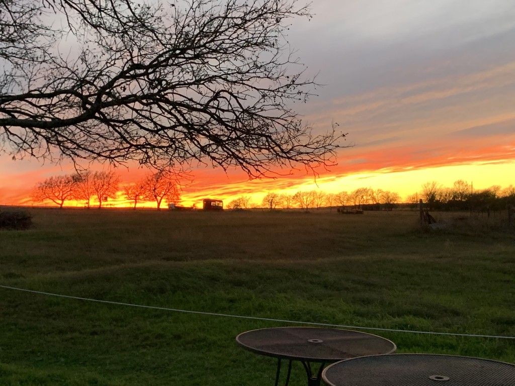 700 County Road 330 Granger, TX 76530 - Photo 4 of 9 a view of a field with an outdoor space