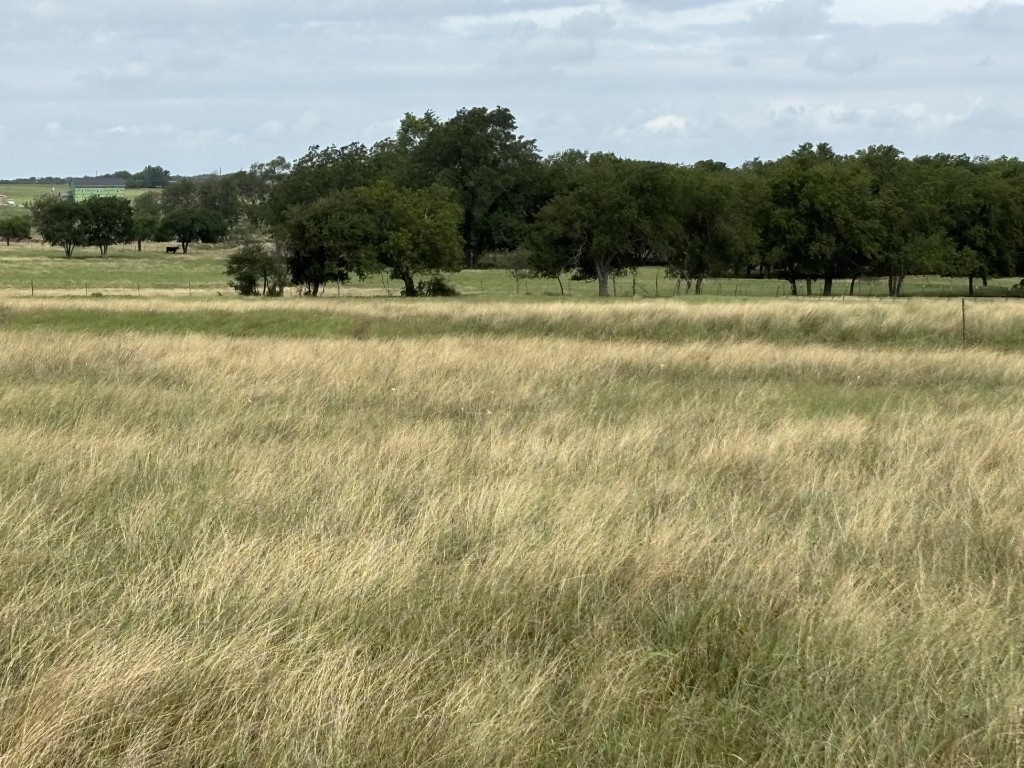 700 County Road 330 Granger, TX 76530 - Photo 6 of 9 a view of outdoor space with mountain view
