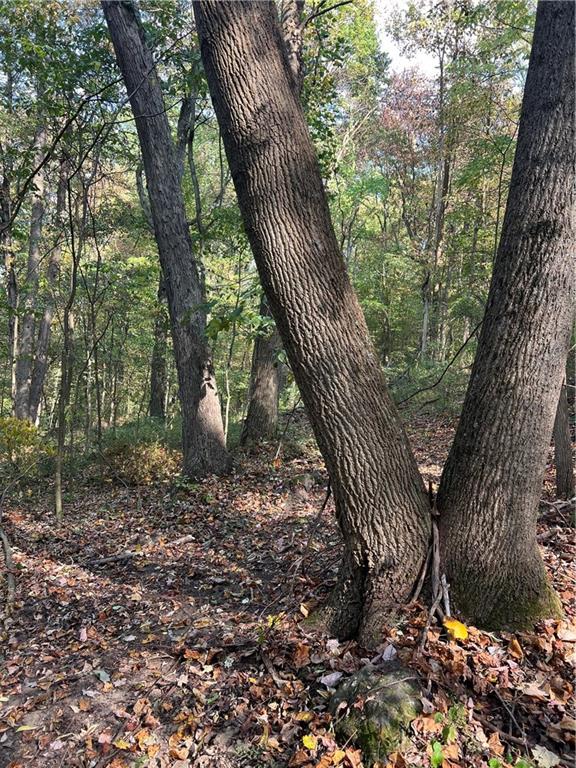 0 North Franklin Street Prospect, PA 16052 - Photo 11 of 15