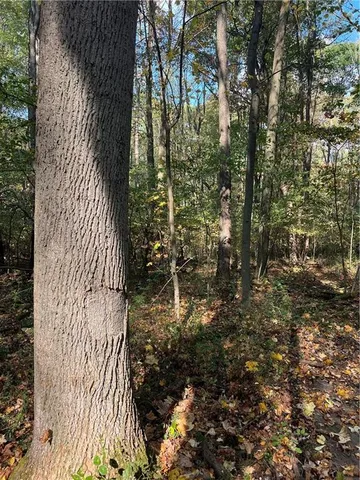 $275,000 | 0 North Franklin Street, Prospect, PA 16052