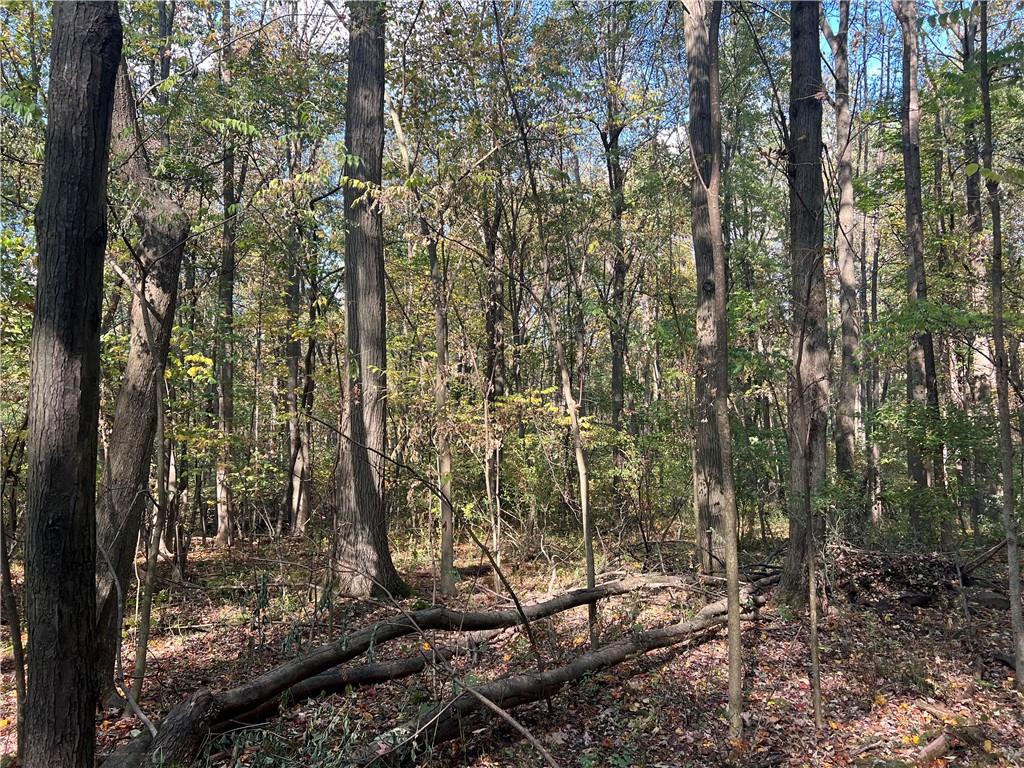 0 North Franklin Street Prospect, PA 16052 - Photo 13 of 15