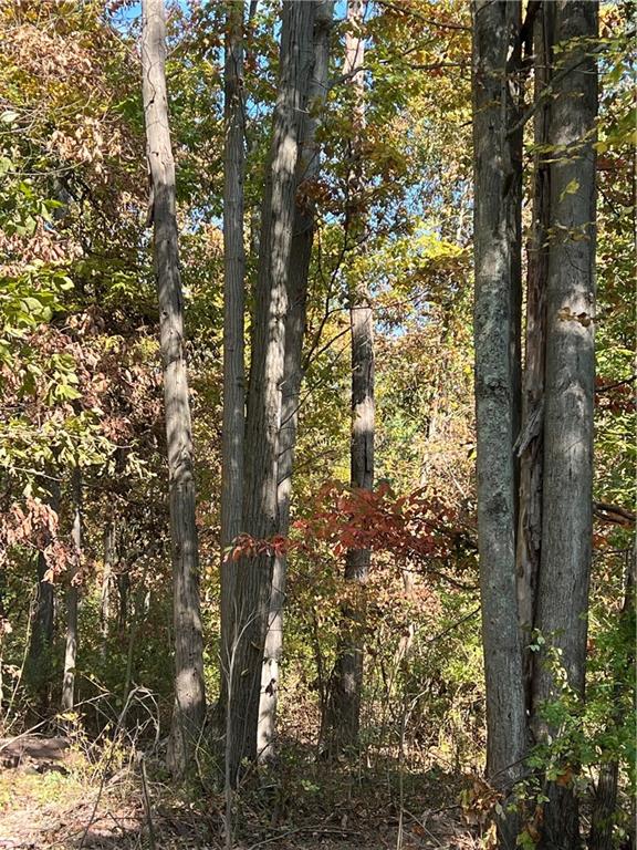 0 North Franklin Street Prospect, PA 16052 - Photo 14 of 15