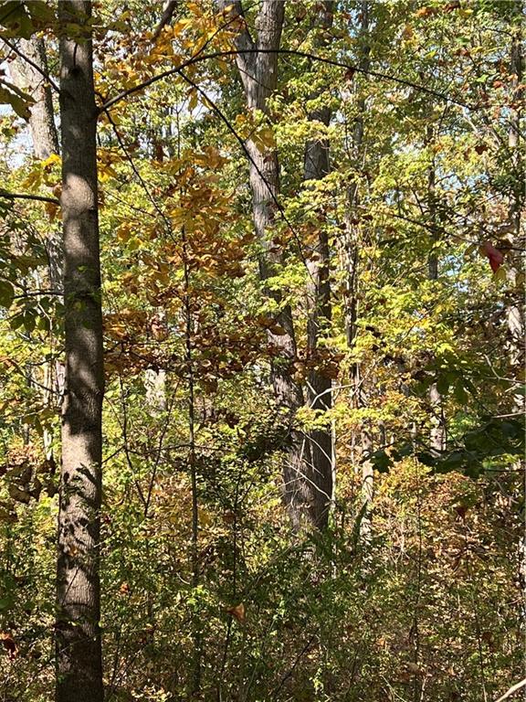 0 North Franklin Street Prospect, PA 16052 - Photo 15 of 15