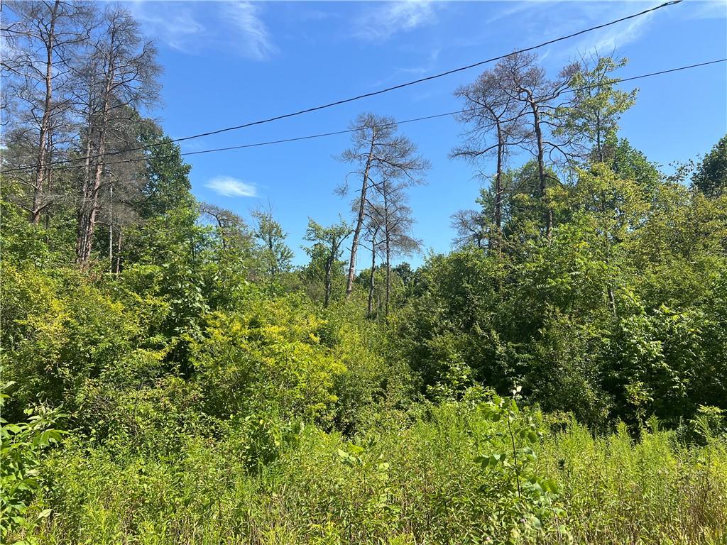 0 North Franklin Street Prospect, PA 16052 - Photo 2 of 15