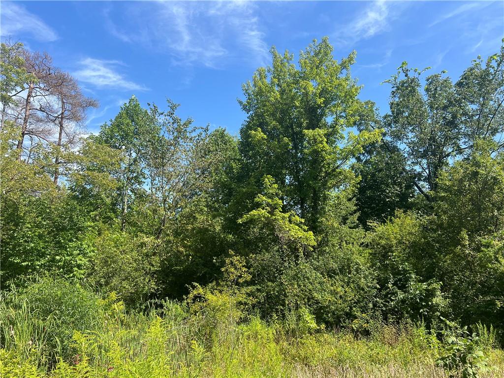 0 North Franklin Street Prospect, PA 16052 - Photo 3 of 15