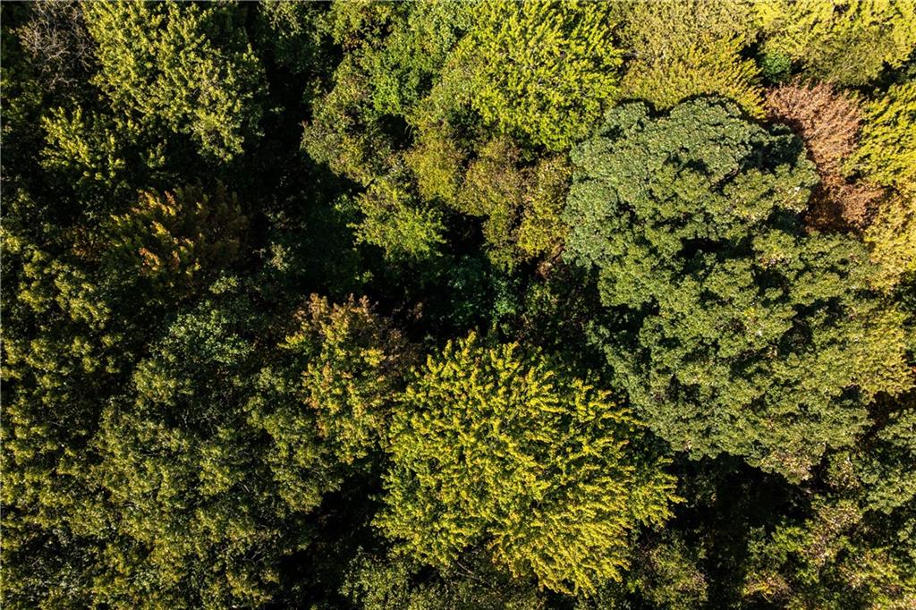 0 North Franklin Street Prospect, PA 16052 - Photo 5 of 15