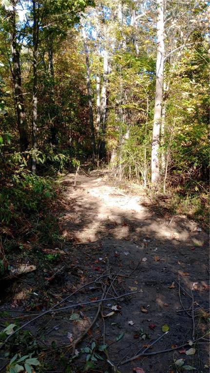 0 North Franklin Street Prospect, PA 16052 - Photo 9 of 15