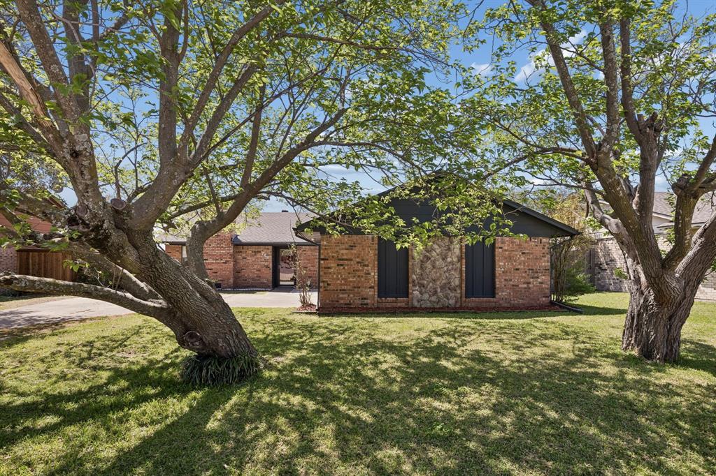 709 Bowie Street Forney, TX 75126 - Photo 6 of 27 a large tree in front of a house with a large tree
