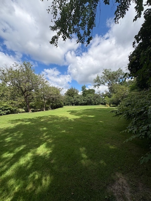 1123 Longvalley Road Glenview, IL 60025 - Photo 3 of 10