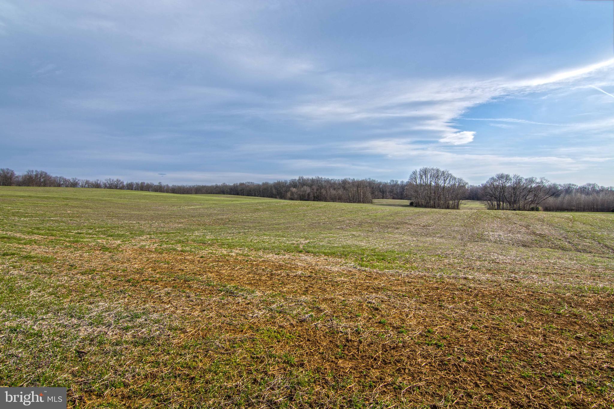 Lot 44 Carter Line Road White Post, VA 22663 - Photo 1 of 23