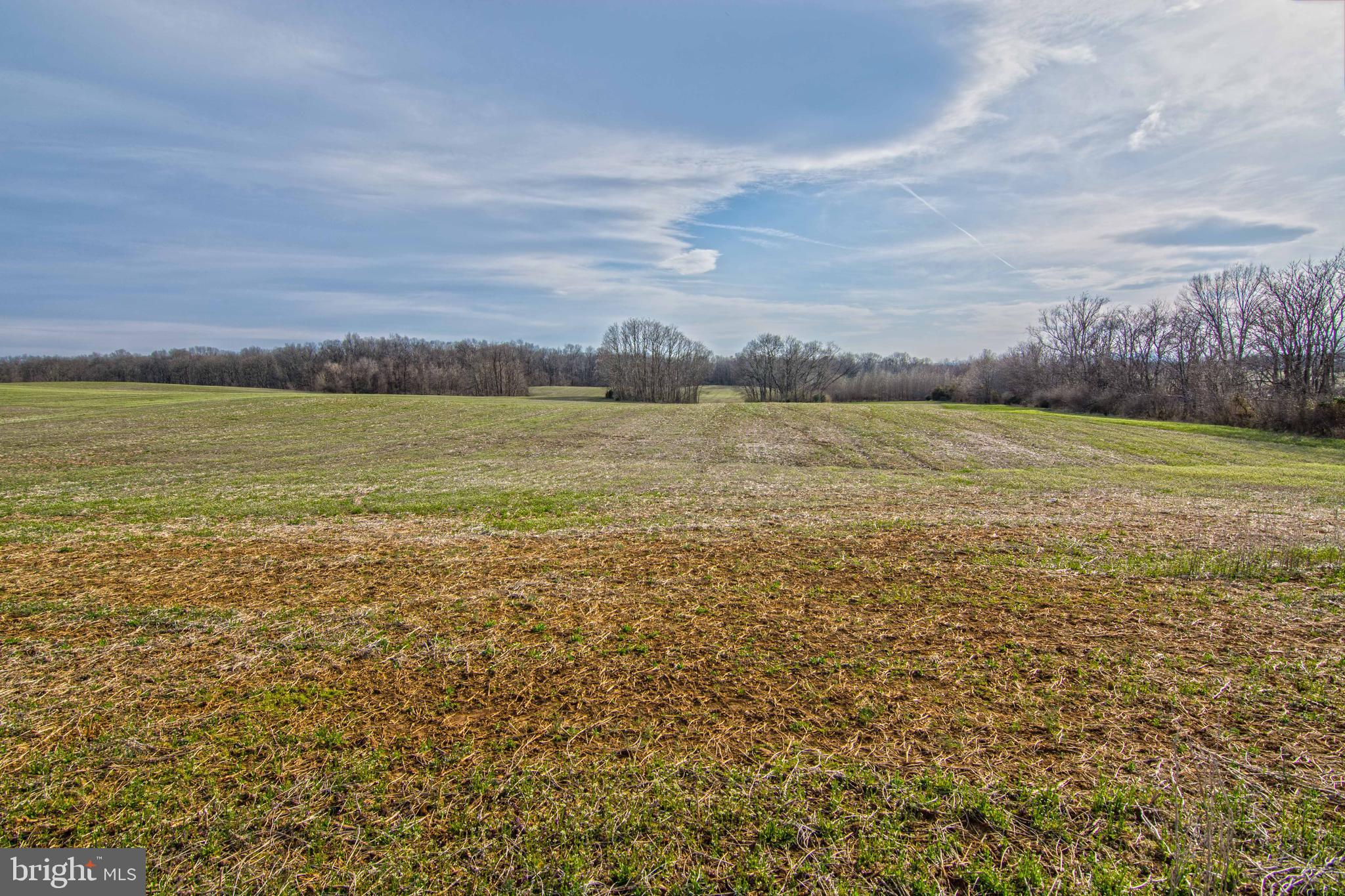 Lot 44 Carter Line Road White Post, VA 22663 - Photo 2 of 23