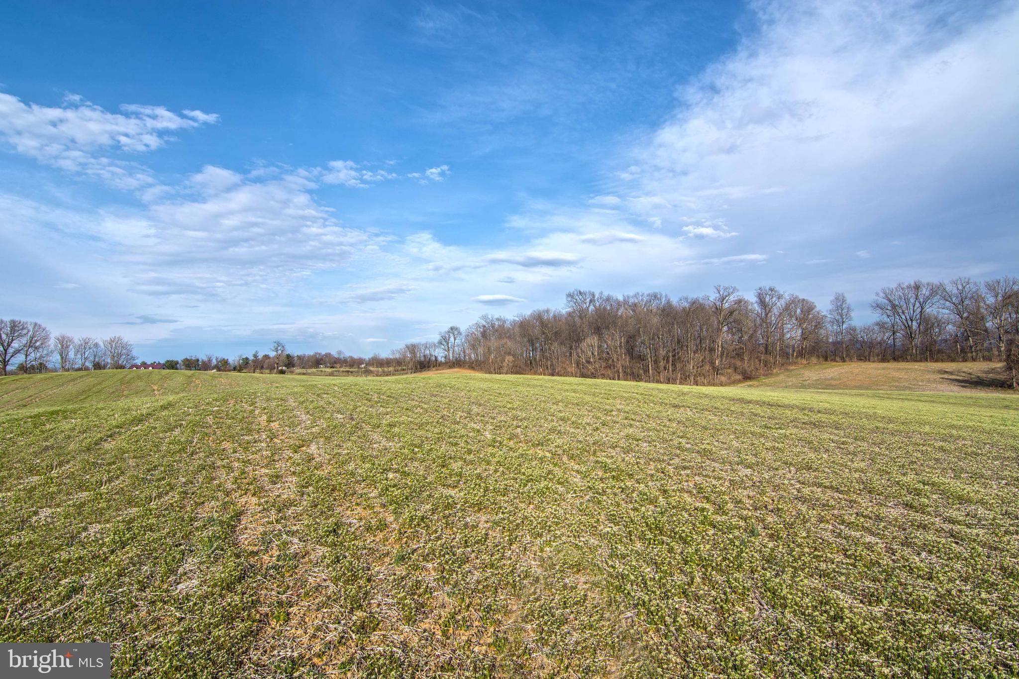 Lot 44 Carter Line Road White Post, VA 22663 - Photo 11 of 23