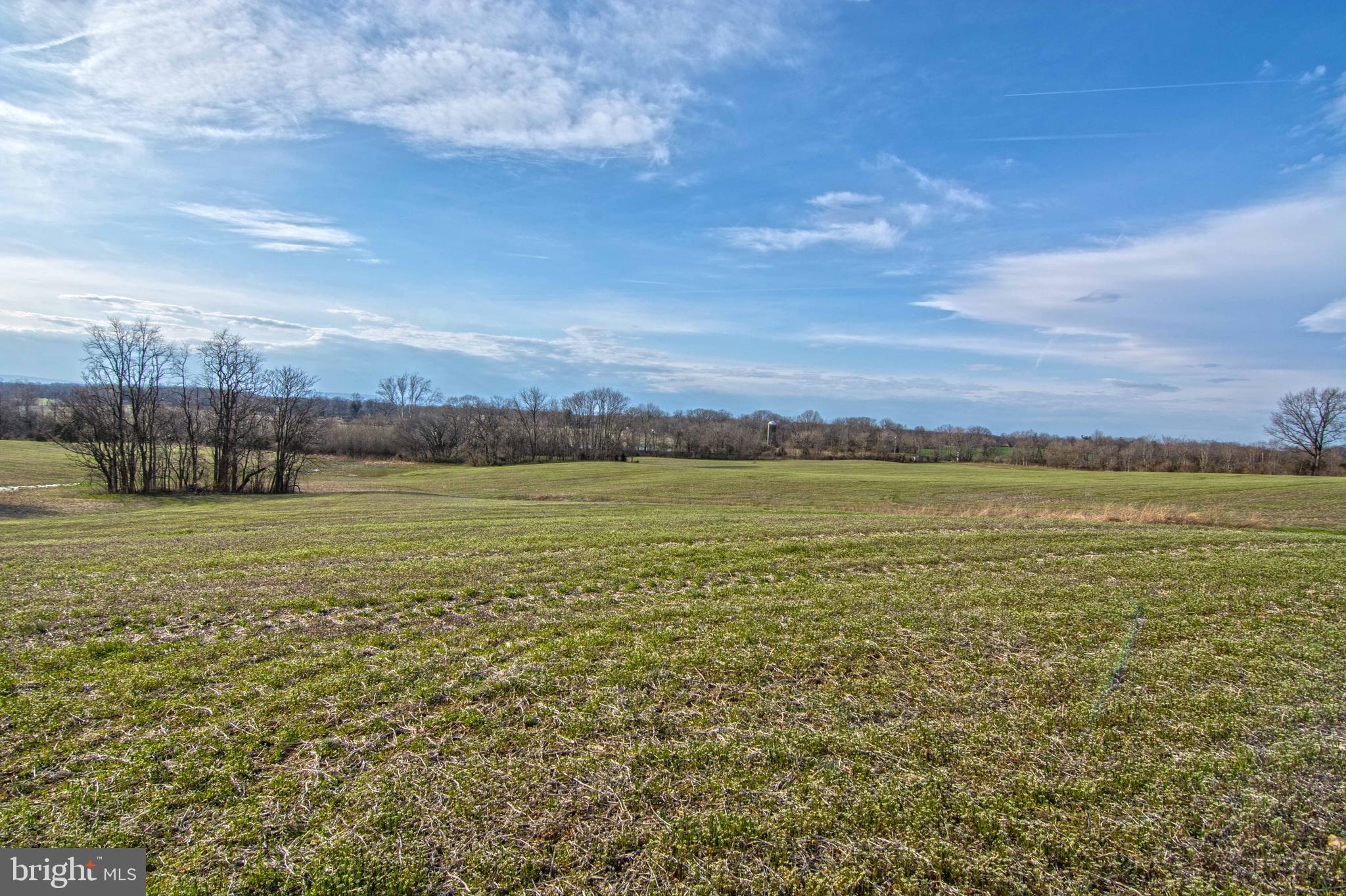 Lot 44 Carter Line Road White Post, VA 22663 - Photo 12 of 23