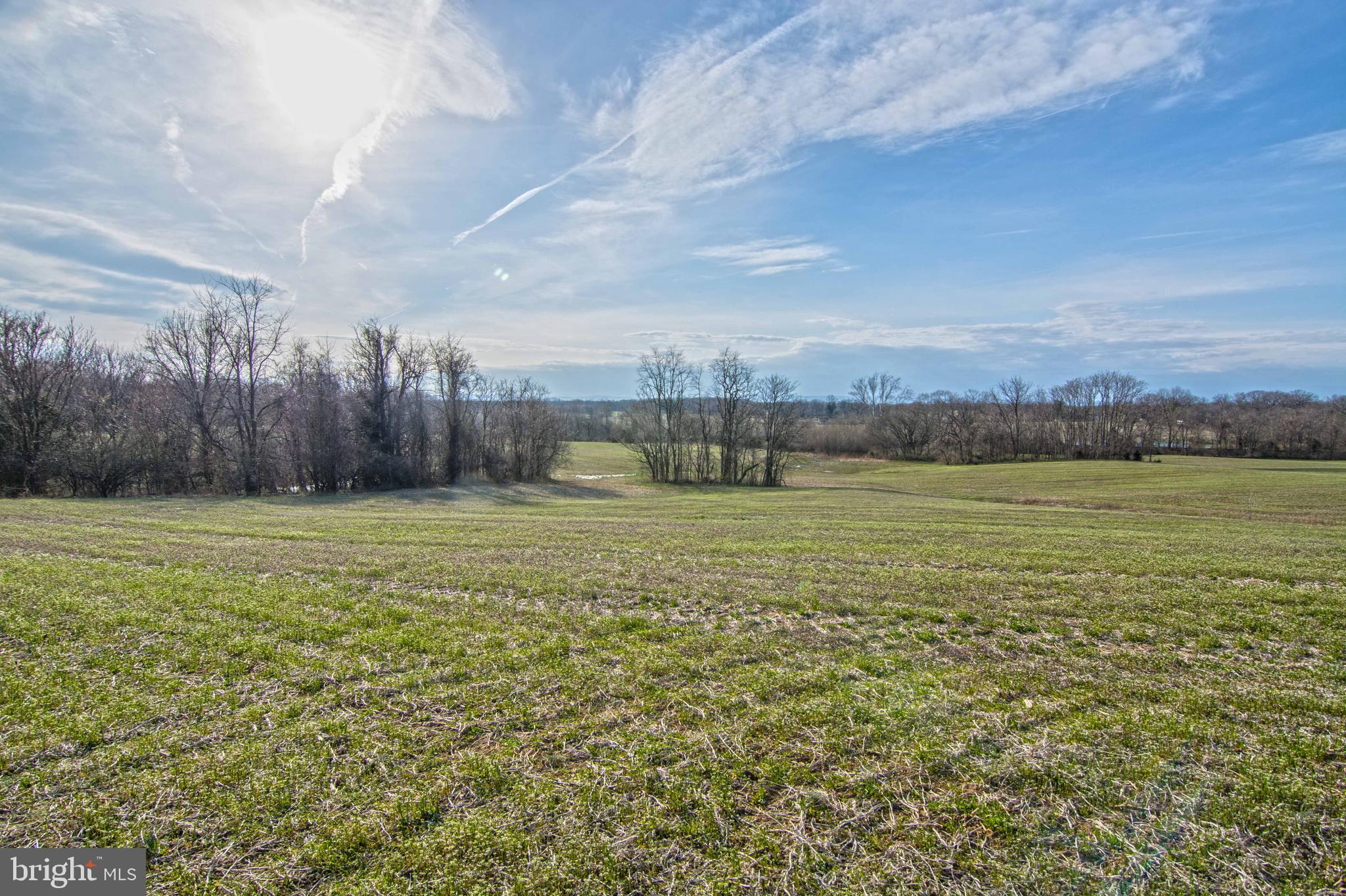 Lot 44 Carter Line Road White Post, VA 22663 - Photo 13 of 23
