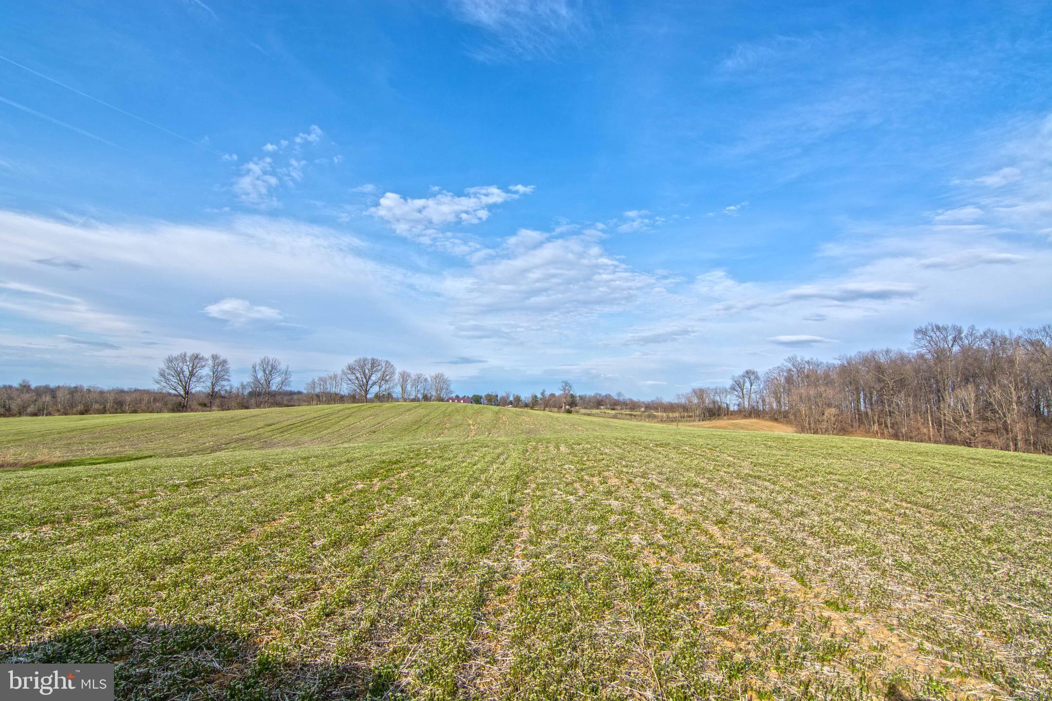 Lot 44 Carter Line Road White Post, VA 22663 - Photo 14 of 23