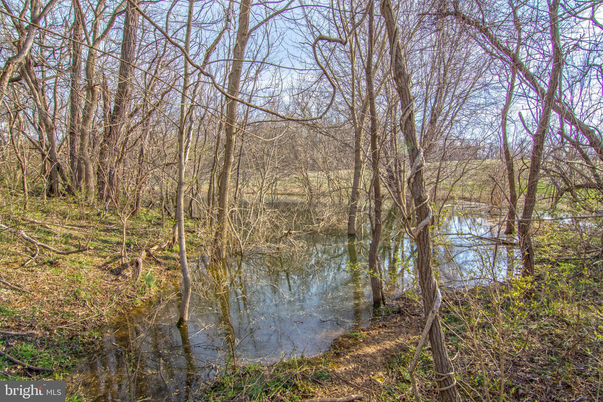 Lot 44 Carter Line Road White Post, VA 22663 - Photo 15 of 23