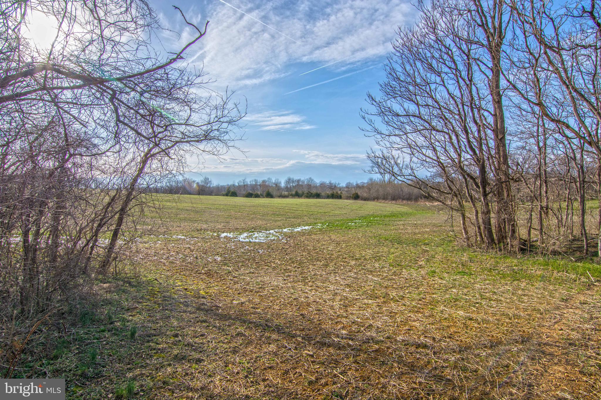 Lot 44 Carter Line Road White Post, VA 22663 - Photo 16 of 23