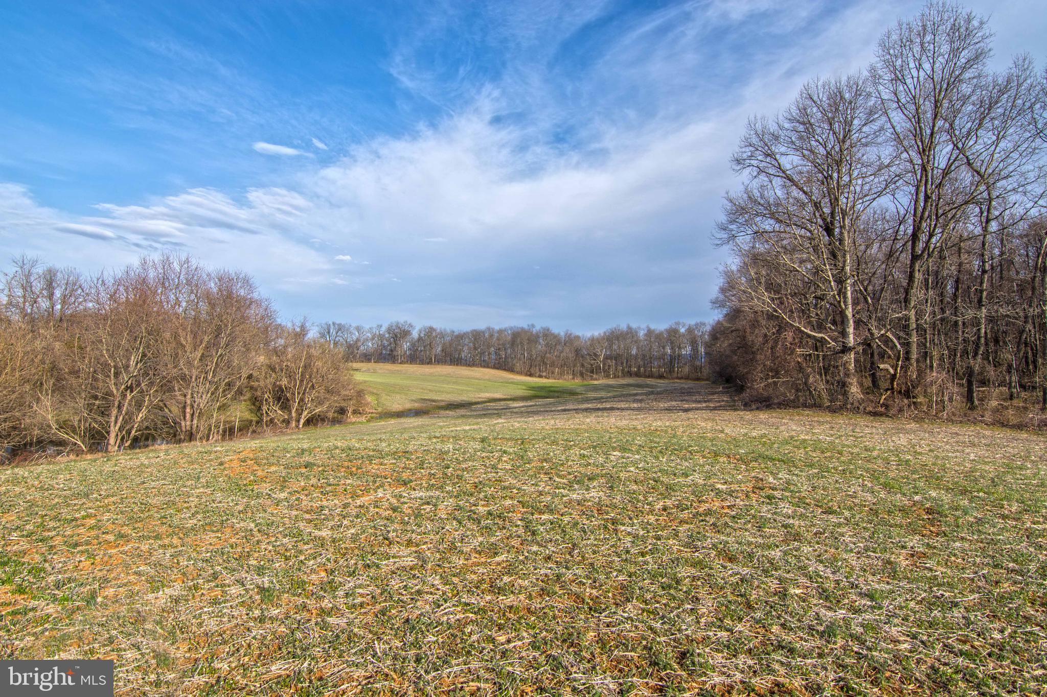 Lot 44 Carter Line Road White Post, VA 22663 - Photo 17 of 23