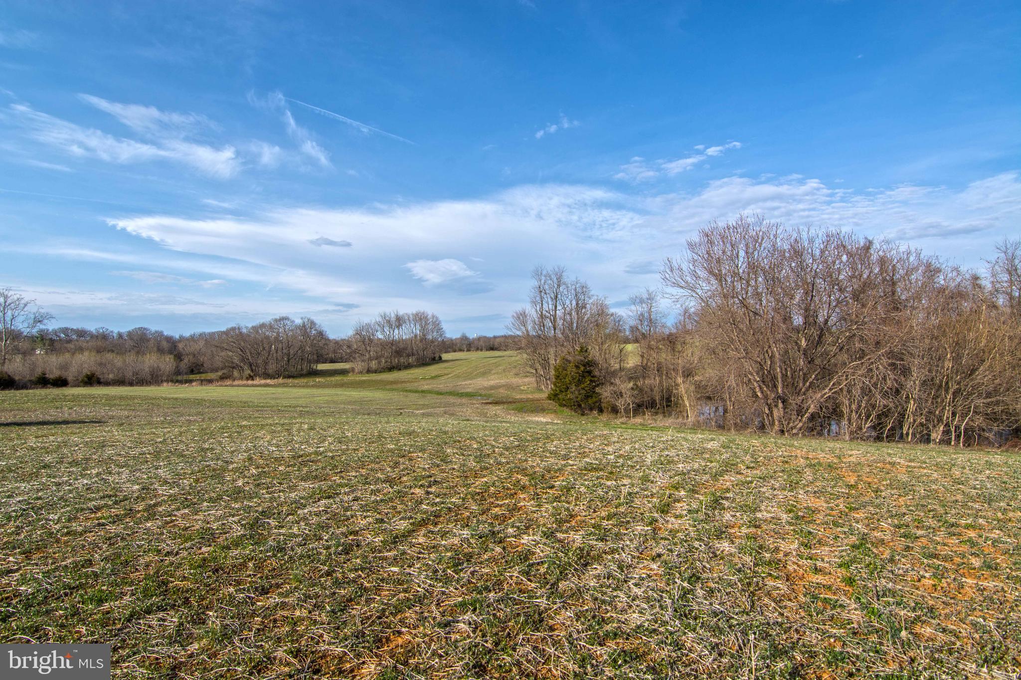 Lot 44 Carter Line Road White Post, VA 22663 - Photo 18 of 23