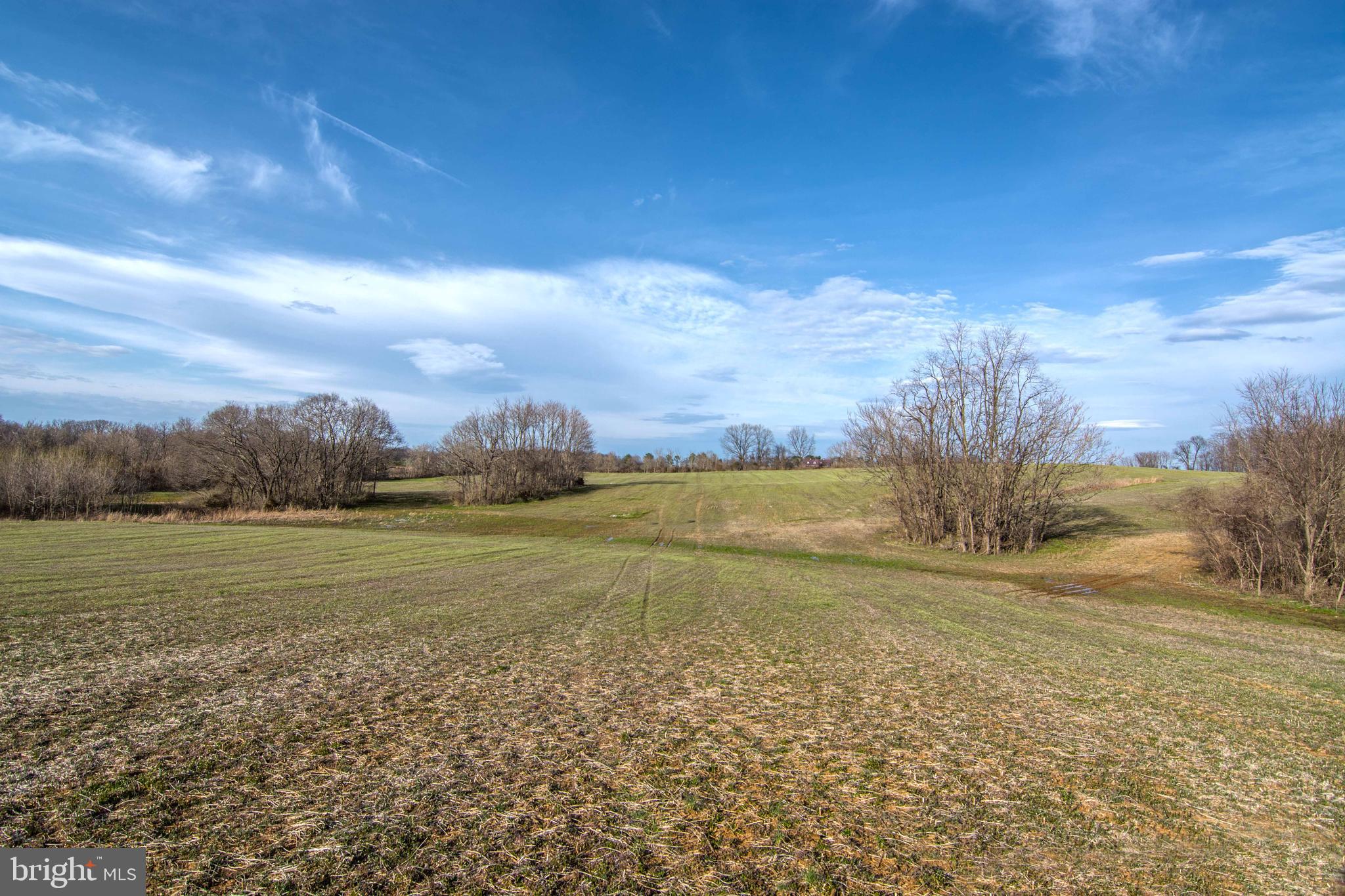 Lot 44 Carter Line Road White Post, VA 22663 - Photo 19 of 23