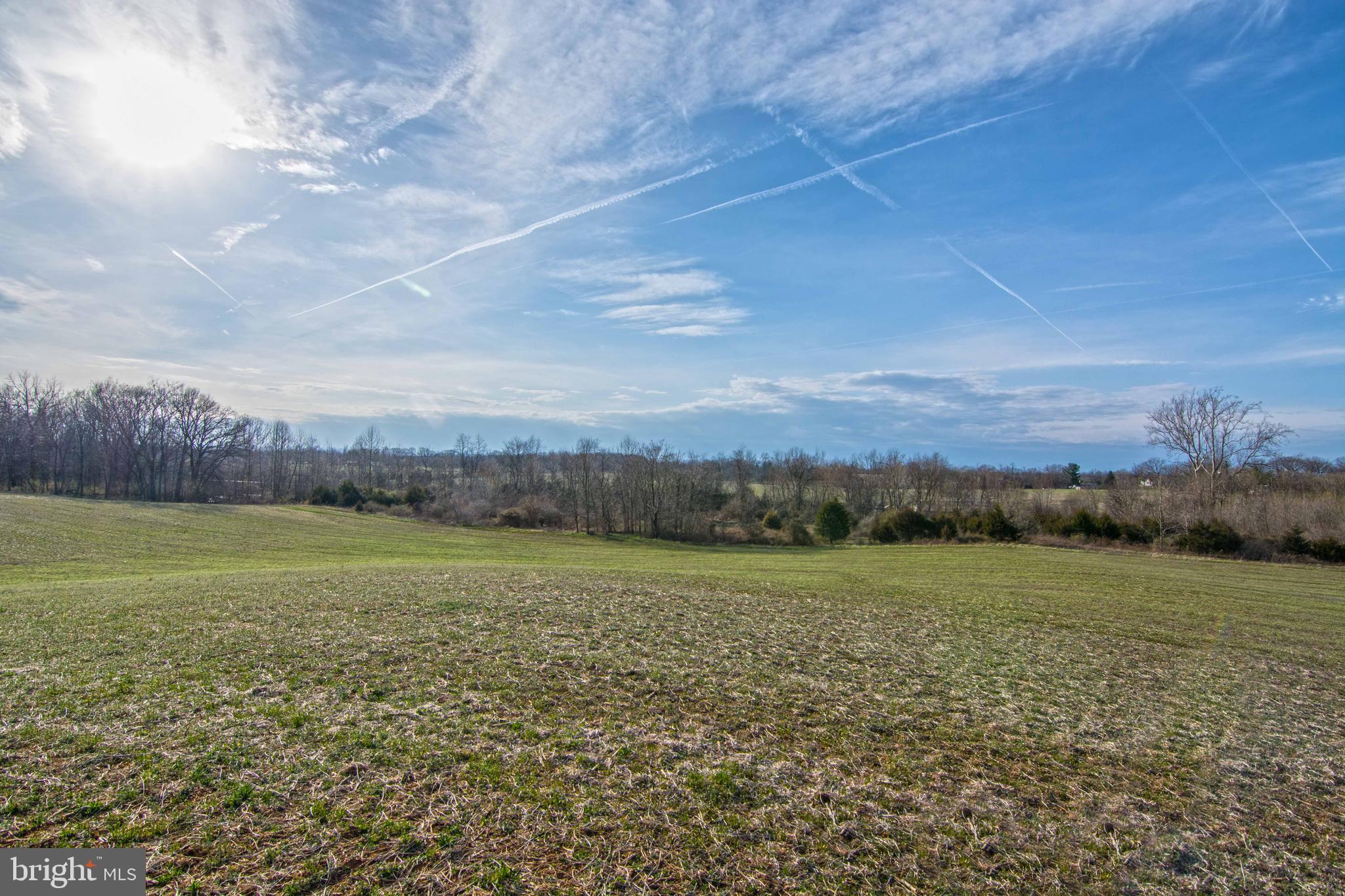 Lot 44 Carter Line Road White Post, VA 22663 - Photo 20 of 23