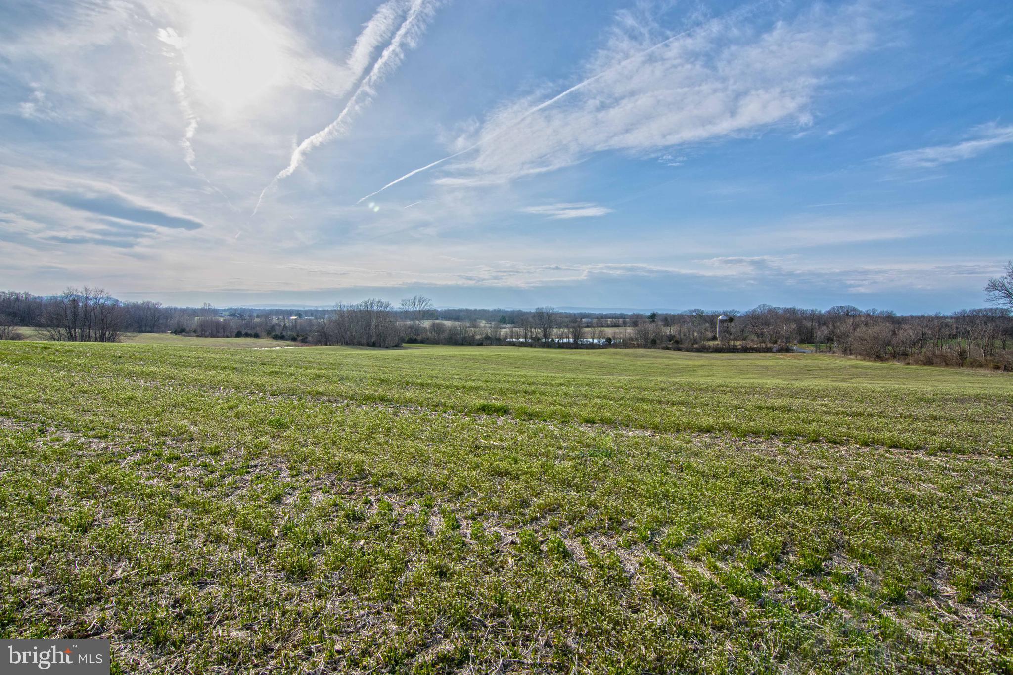 Lot 44 Carter Line Road White Post, VA 22663 - Photo 3 of 23