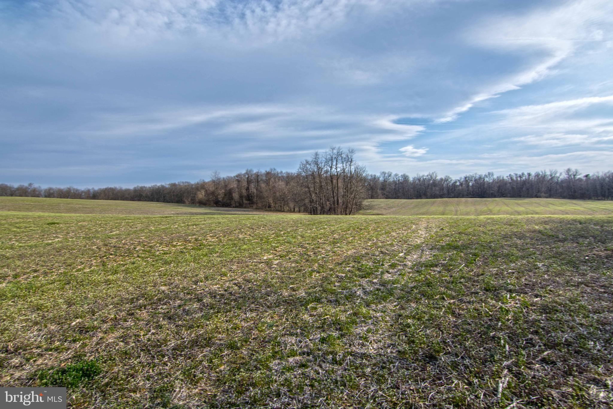 Lot 44 Carter Line Road White Post, VA 22663 - Photo 21 of 23