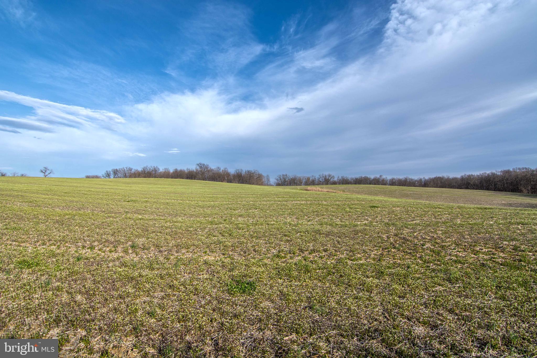 Lot 44 Carter Line Road White Post, VA 22663 - Photo 22 of 23