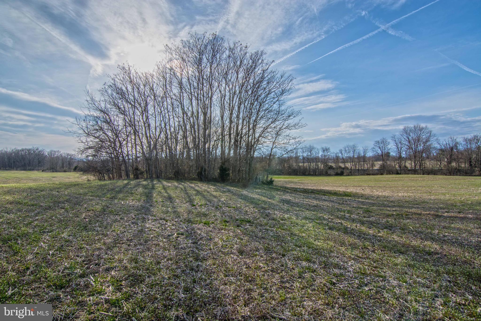 Lot 44 Carter Line Road White Post, VA 22663 - Photo 23 of 23