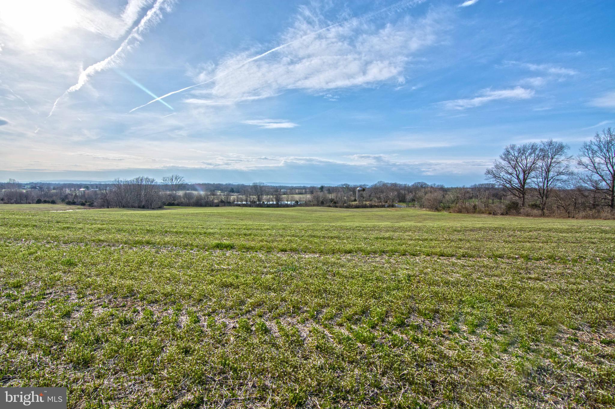 Lot 44 Carter Line Road White Post, VA 22663 - Photo 4 of 23