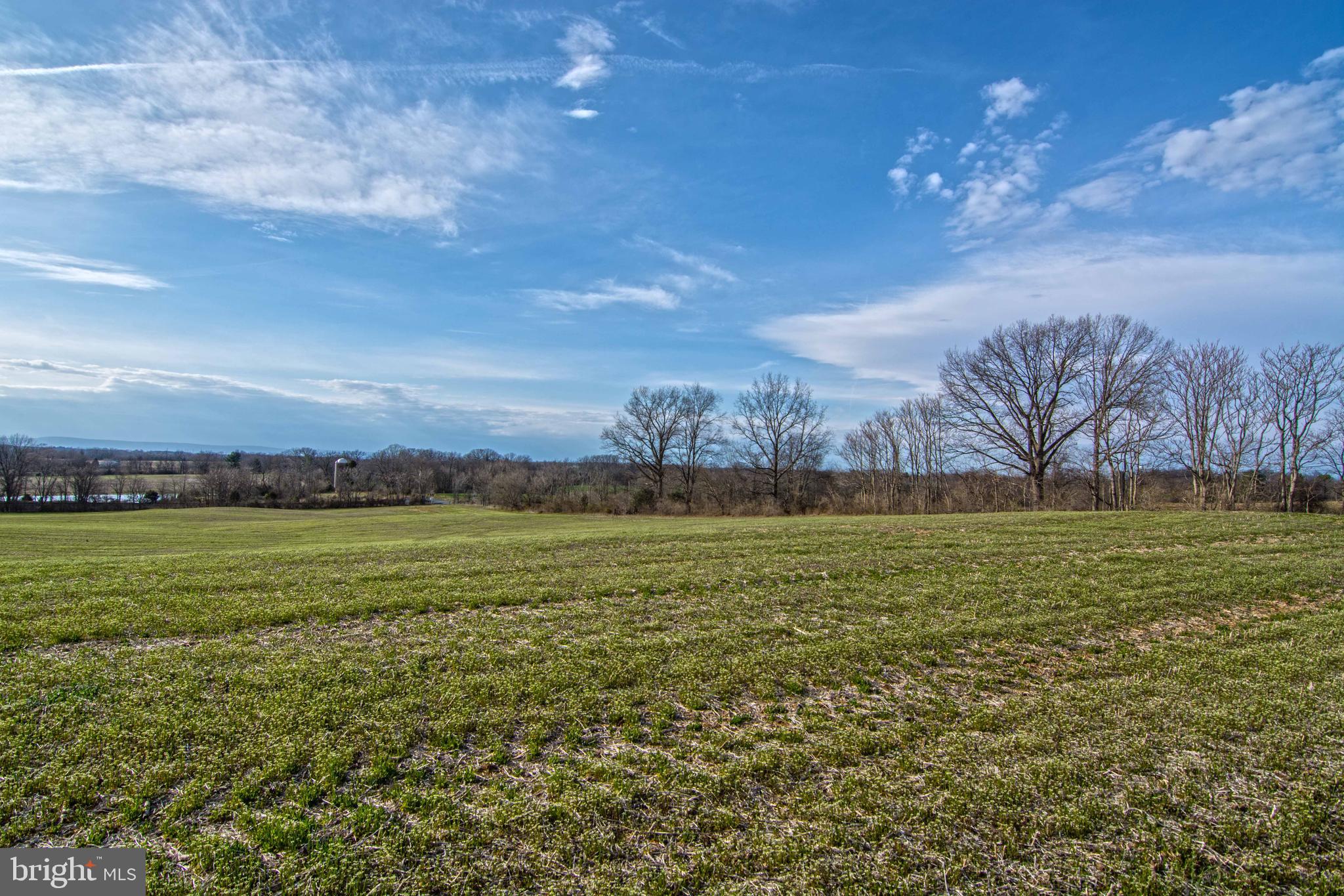 Lot 44 Carter Line Road White Post, VA 22663 - Photo 5 of 23