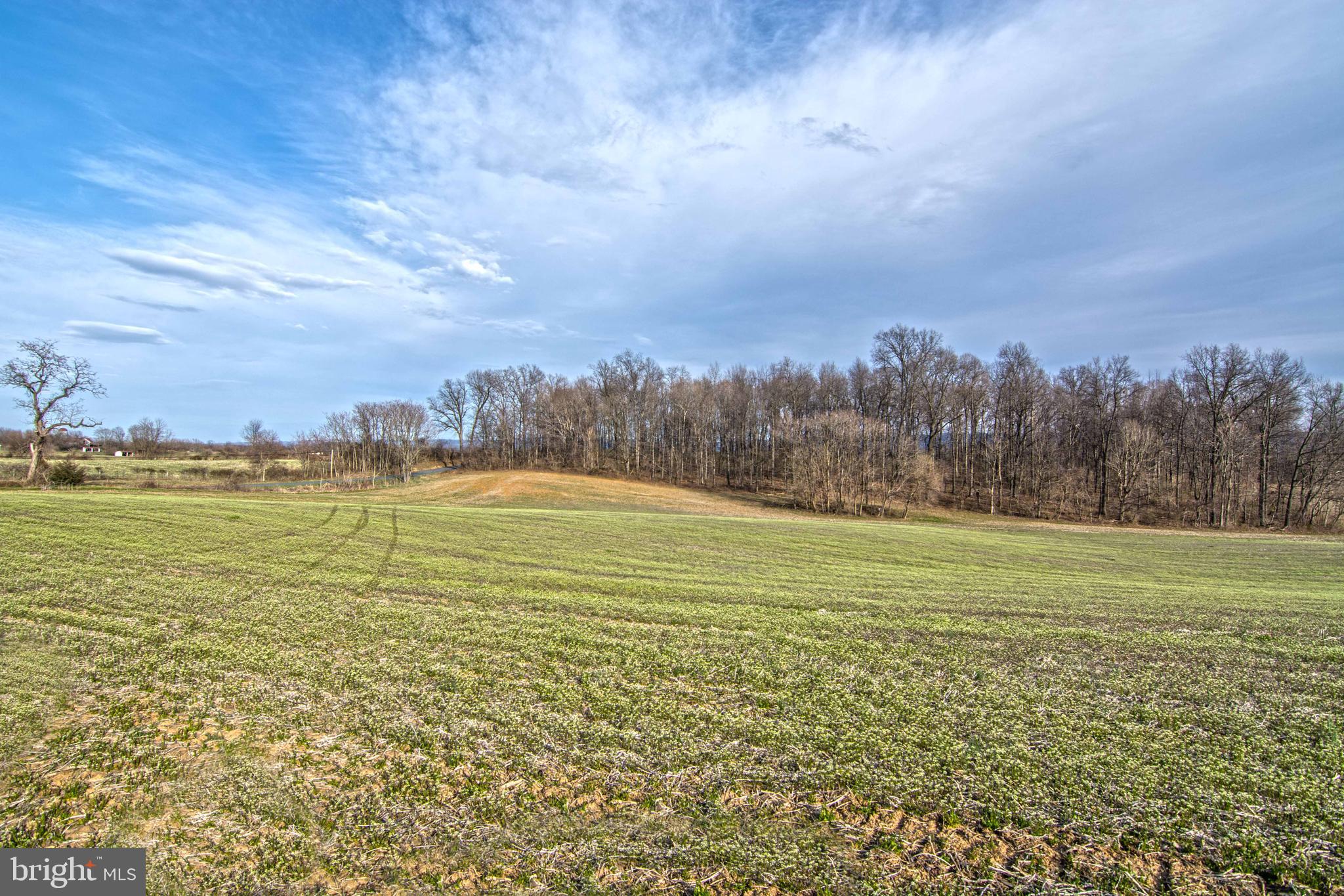 Lot 44 Carter Line Road White Post, VA 22663 - Photo 6 of 23