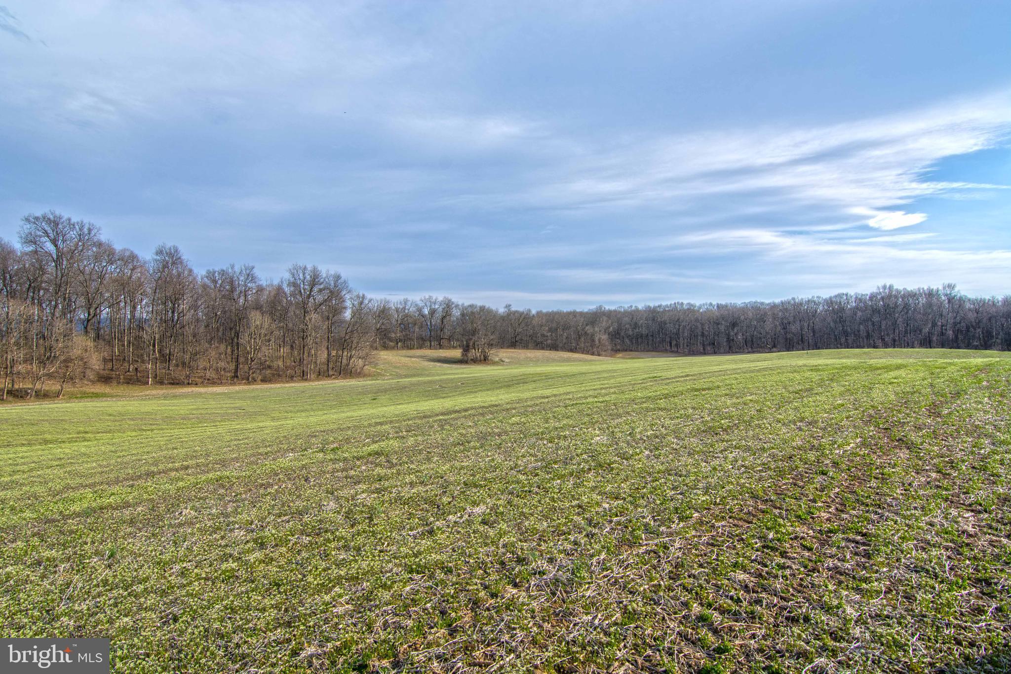 Lot 44 Carter Line Road White Post, VA 22663 - Photo 7 of 23