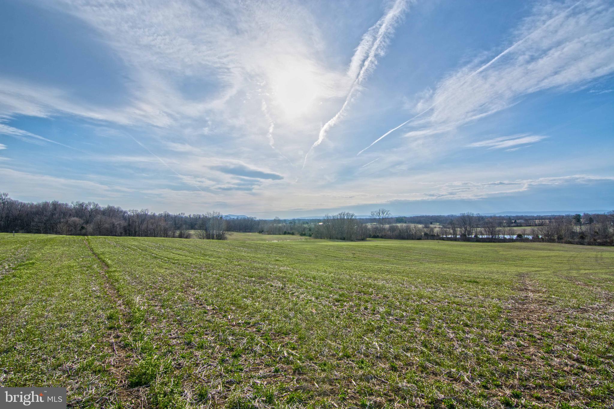 Lot 44 Carter Line Road White Post, VA 22663 - Photo 8 of 23