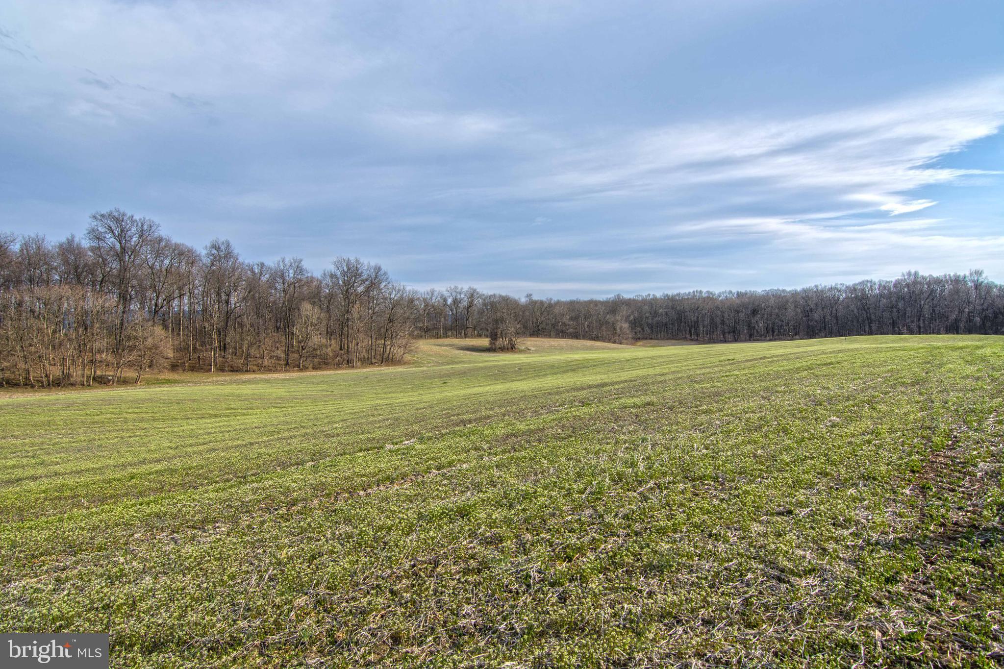 Lot 44 Carter Line Road White Post, VA 22663 - Photo 9 of 23