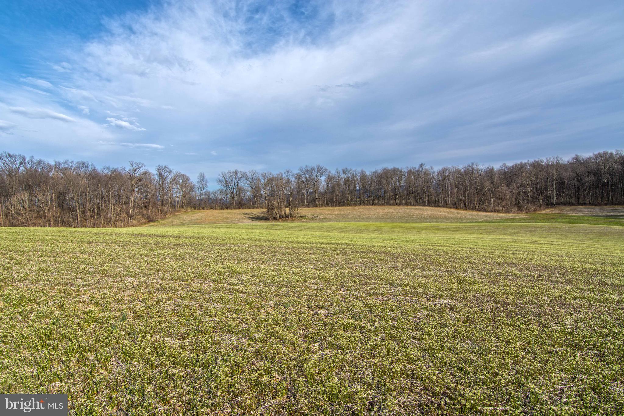 Lot 44 Carter Line Road White Post, VA 22663 - Photo 10 of 23