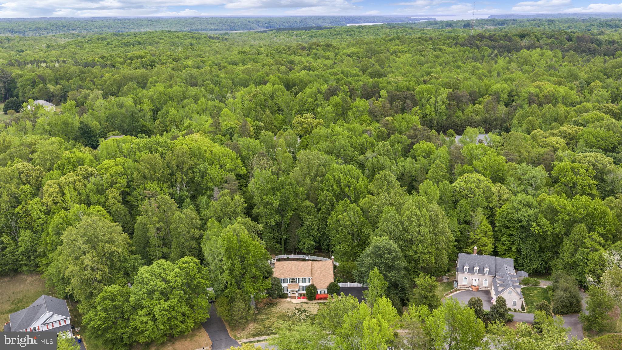 100 Boscobel Road Fredericksburg, VA 22405 - Photo 58 of 67 Privacy abounds