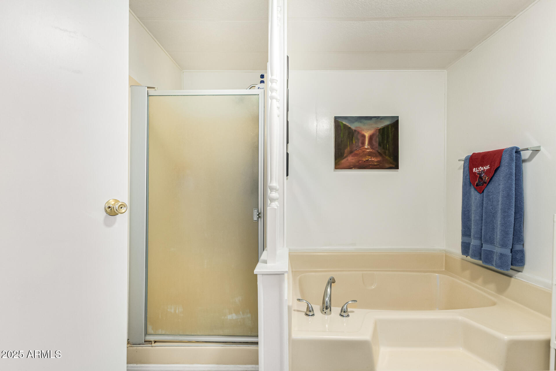 661 South Hawes Road, Unit 52 Mesa, AZ 85208 - Photo 32 of 36 a bathroom with a bathtub and a shower