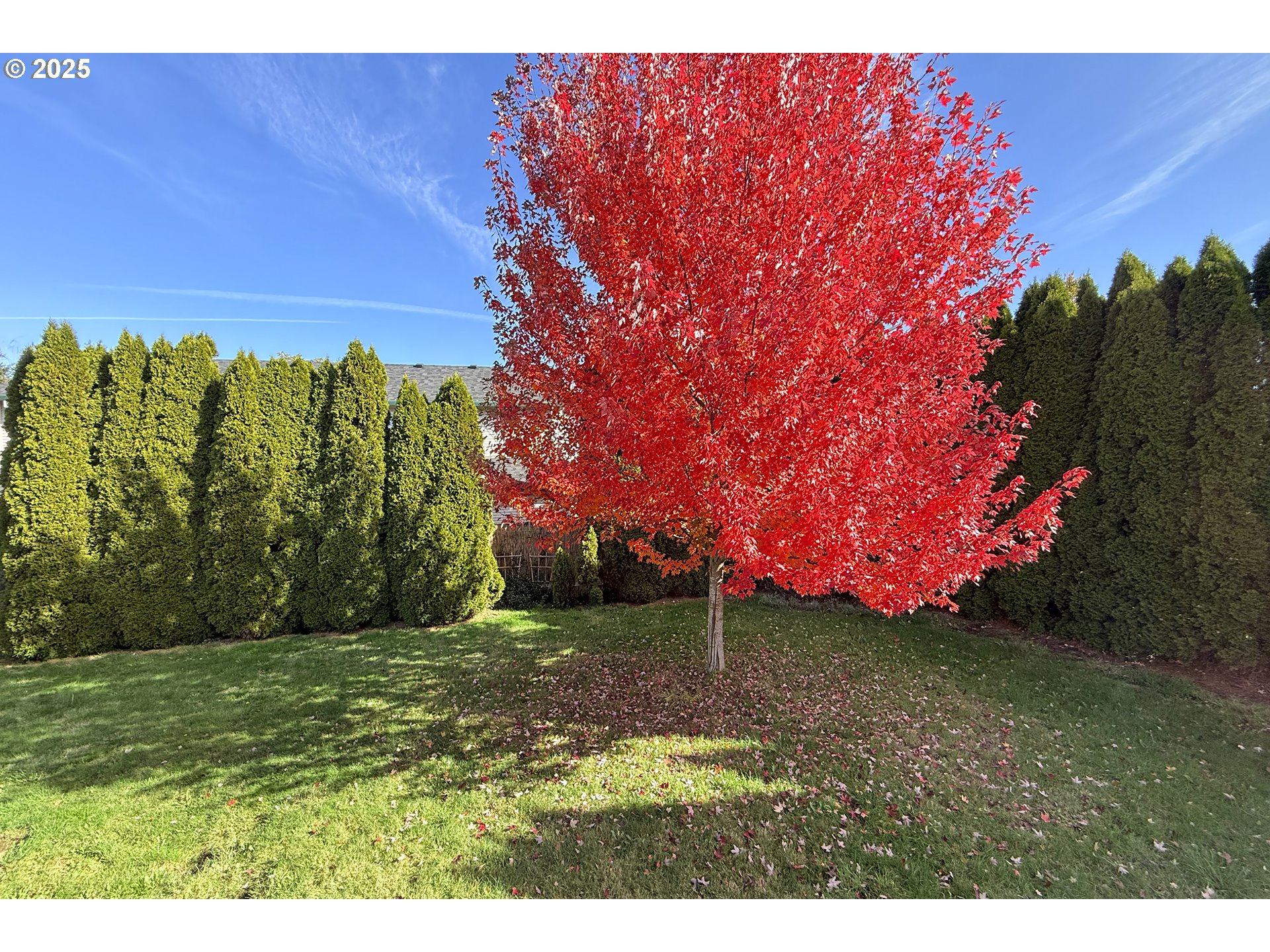 1226 Southwest Hensley Road Troutdale, OR 97060 - Photo 39 of 40 a view of a yard
