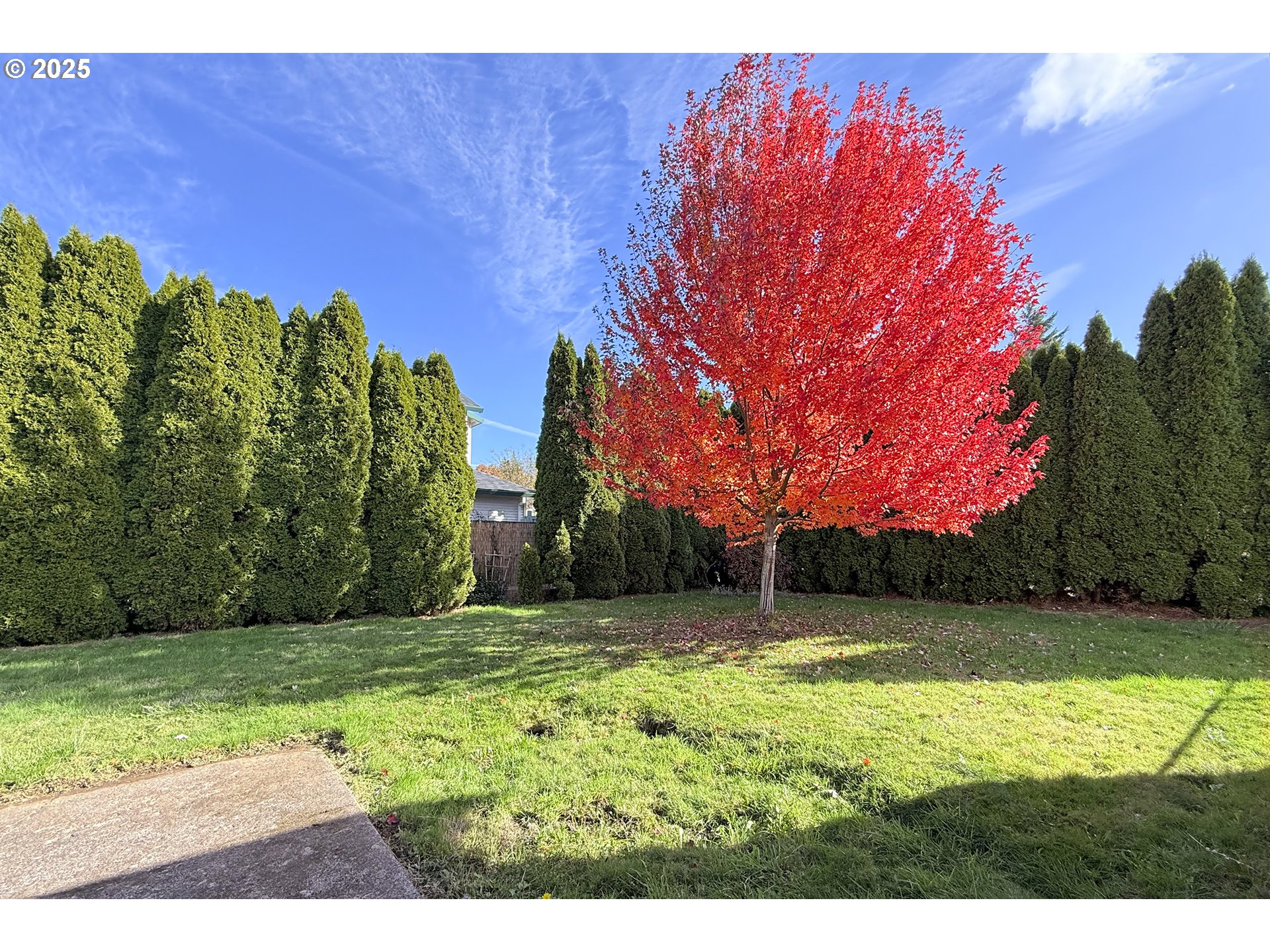 1226 Southwest Hensley Road Troutdale, OR 97060 - Photo 40 of 40 a view of a yard with an trees